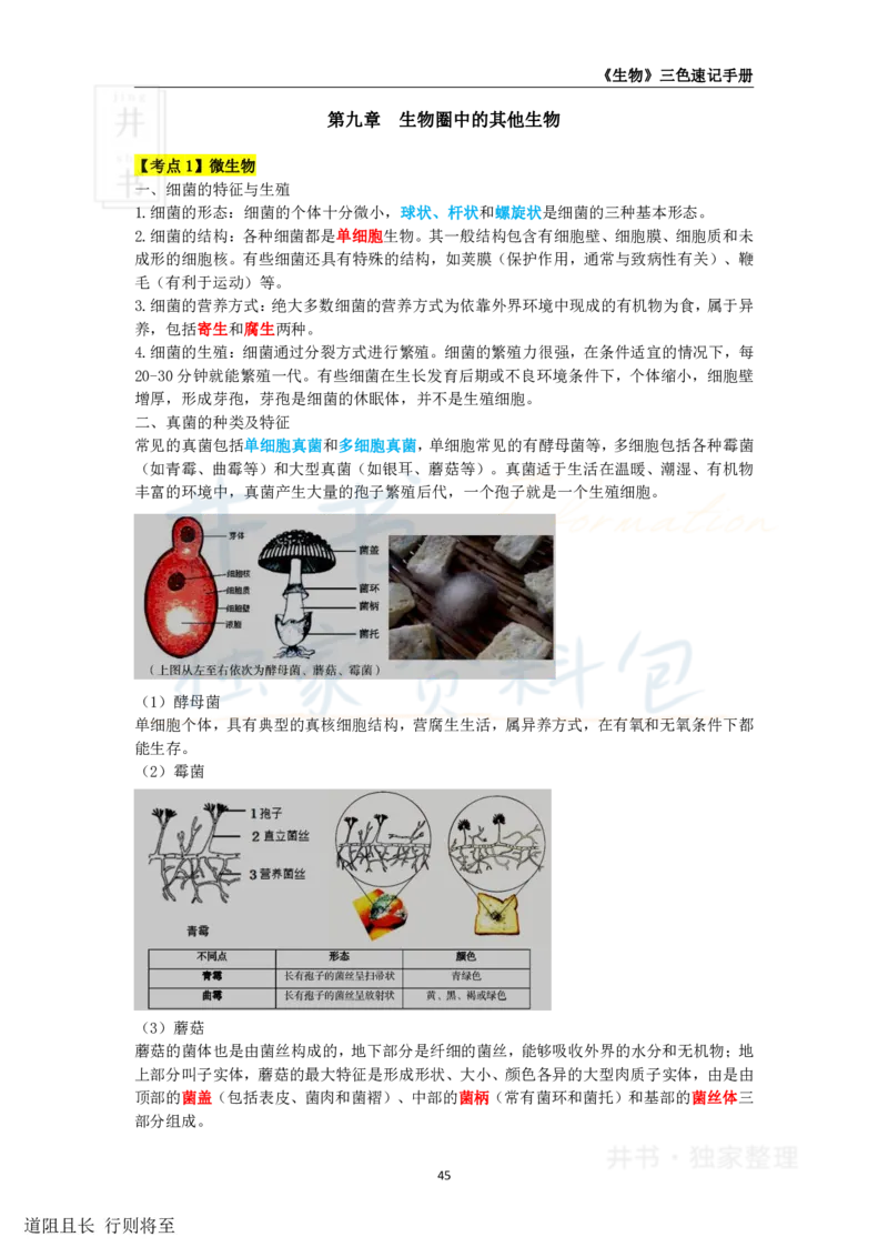 高中生物王炸秘籍6_教资_初高中2026教资_25下教师资格证_科三高中各科资料汇总_井书&middot;独家资料包高中各科资料汇总_井书&middot;独家资料包（高中）生物