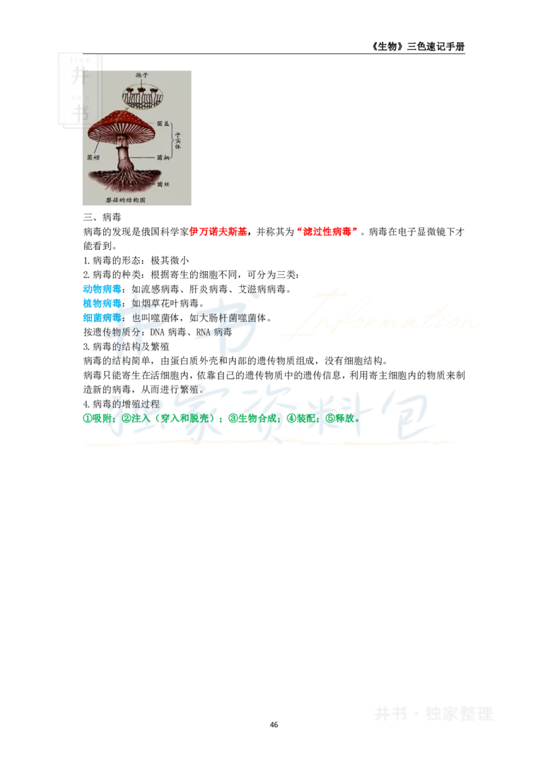 高中生物王炸秘籍6_教资_初高中2026教资_25下教师资格证_科三高中各科资料汇总_井书&middot;独家资料包高中各科资料汇总_井书&middot;独家资料包（高中）生物