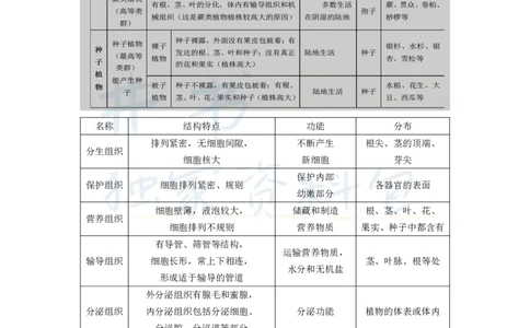 初中生物王炸秘籍5_教资_初高中2026教资_25下教师资格证_科三初中各科资料汇总_初中生物王炸秘籍