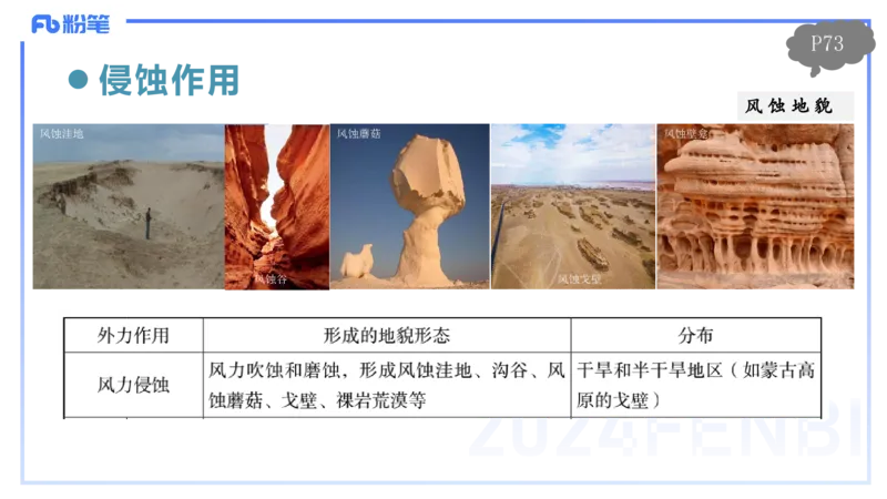 1.21晚-理论精讲-自然地理7-陆地环境-平之_4-教培资料-26年最新资料-同步更新_科一科二电子资料合集中小幼（笔记真题知识点汇总等）文件多，按需保存_01西米合集_24上半年系统班