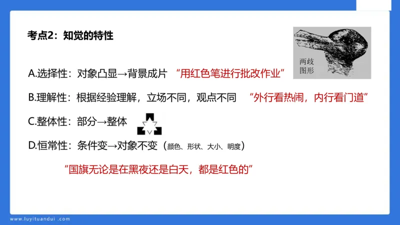 中科二急救(2)_教资_初高中2026教资_25下教师资格证_5.L姨冲刺70分[急救班]_初高中冲刺抢分课_科二_配套讲义