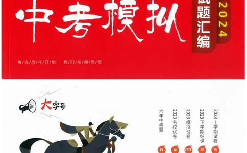 一飞冲天-中考模拟试题汇编-数学_《一飞冲天-中考专项》2026版_一飞冲天-中考模拟试题汇编（2024版）