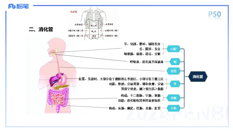 1.18-理论精讲-运动解剖学4-王传世+_4-教培资料-26年最新资料-同步更新_科一科二电子资料合集中小幼（笔记真题知识点汇总等）文件多，按需保存_各机构笔记合集（中小幼）推荐