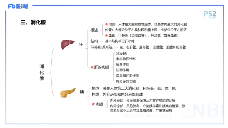 1.18-理论精讲-运动解剖学4-王传世+_4-教培资料-26年最新资料-同步更新_科一科二电子资料合集中小幼（笔记真题知识点汇总等）文件多，按需保存_各机构笔记合集（中小幼）推荐