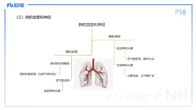 1.18-理论精讲-运动解剖学4-王传世+_4-教培资料-26年最新资料-同步更新_科一科二电子资料合集中小幼（笔记真题知识点汇总等）文件多，按需保存_各机构笔记合集（中小幼）推荐