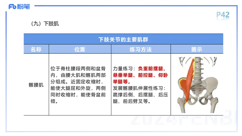 1.18-理论精讲-运动解剖学4-王传世+_4-教培资料-26年最新资料-同步更新_科一科二电子资料合集中小幼（笔记真题知识点汇总等）文件多，按需保存_各机构笔记合集（中小幼）推荐