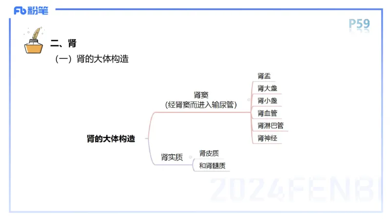 1.18-理论精讲-运动解剖学4-王传世+_4-教培资料-26年最新资料-同步更新_科一科二电子资料合集中小幼（笔记真题知识点汇总等）文件多，按需保存_各机构笔记合集（中小幼）推荐