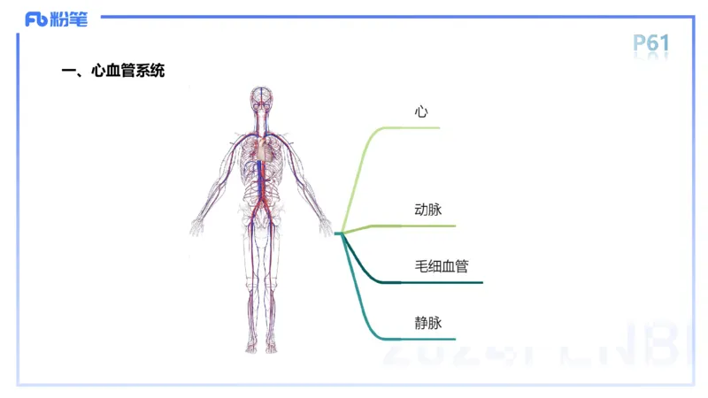 1.18-理论精讲-运动解剖学4-王传世+_4-教培资料-26年最新资料-同步更新_科一科二电子资料合集中小幼（笔记真题知识点汇总等）文件多，按需保存_各机构笔记合集（中小幼）推荐