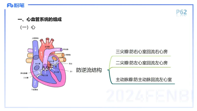 1.18-理论精讲-运动解剖学4-王传世+_4-教培资料-26年最新资料-同步更新_科一科二电子资料合集中小幼（笔记真题知识点汇总等）文件多，按需保存_各机构笔记合集（中小幼）推荐