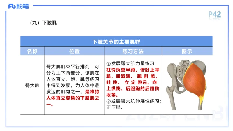 1.18-理论精讲-运动解剖学4-王传世+_4-教培资料-26年最新资料-同步更新_科一科二电子资料合集中小幼（笔记真题知识点汇总等）文件多，按需保存_各机构笔记合集（中小幼）推荐