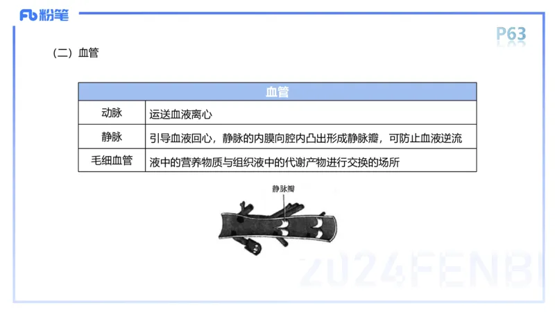 1.18-理论精讲-运动解剖学4-王传世+_4-教培资料-26年最新资料-同步更新_科一科二电子资料合集中小幼（笔记真题知识点汇总等）文件多，按需保存_各机构笔记合集（中小幼）推荐