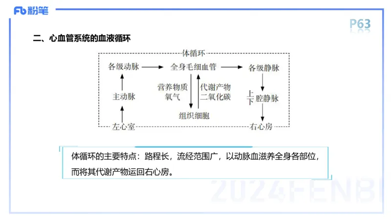1.18-理论精讲-运动解剖学4-王传世+_4-教培资料-26年最新资料-同步更新_科一科二电子资料合集中小幼（笔记真题知识点汇总等）文件多，按需保存_各机构笔记合集（中小幼）推荐