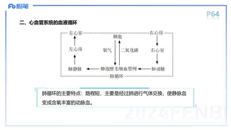 1.18-理论精讲-运动解剖学4-王传世+_4-教培资料-26年最新资料-同步更新_科一科二电子资料合集中小幼（笔记真题知识点汇总等）文件多，按需保存_各机构笔记合集（中小幼）推荐