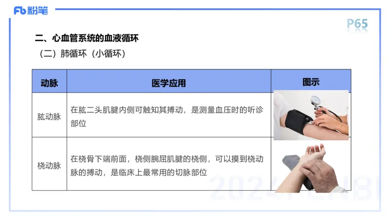 1.18-理论精讲-运动解剖学4-王传世+_4-教培资料-26年最新资料-同步更新_科一科二电子资料合集中小幼（笔记真题知识点汇总等）文件多，按需保存_各机构笔记合集（中小幼）推荐