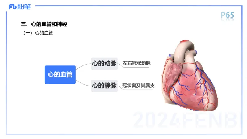 1.18-理论精讲-运动解剖学4-王传世+_4-教培资料-26年最新资料-同步更新_科一科二电子资料合集中小幼（笔记真题知识点汇总等）文件多，按需保存_各机构笔记合集（中小幼）推荐