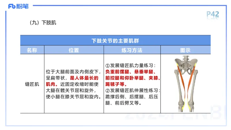 1.18-理论精讲-运动解剖学4-王传世+_4-教培资料-26年最新资料-同步更新_科一科二电子资料合集中小幼（笔记真题知识点汇总等）文件多，按需保存_各机构笔记合集（中小幼）推荐