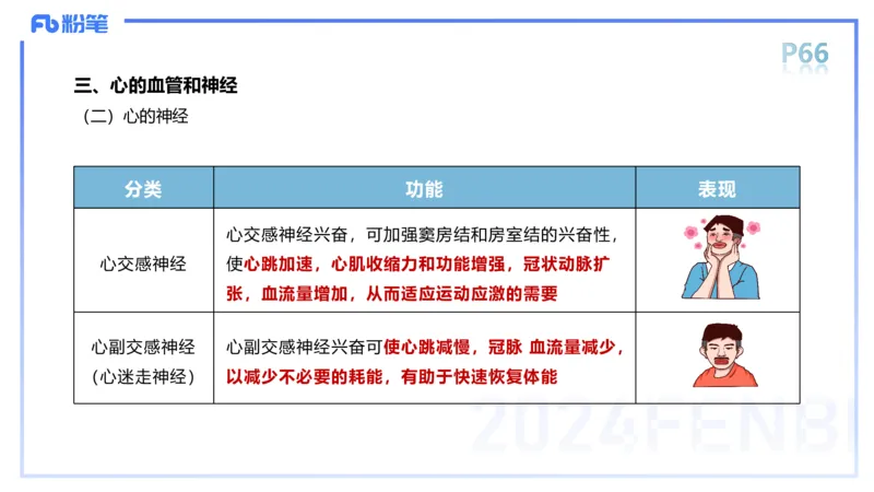 1.18-理论精讲-运动解剖学4-王传世+_4-教培资料-26年最新资料-同步更新_科一科二电子资料合集中小幼（笔记真题知识点汇总等）文件多，按需保存_各机构笔记合集（中小幼）推荐