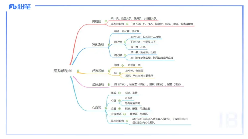 1.18-理论精讲-运动解剖学4-王传世+_4-教培资料-26年最新资料-同步更新_科一科二电子资料合集中小幼（笔记真题知识点汇总等）文件多，按需保存_各机构笔记合集（中小幼）推荐