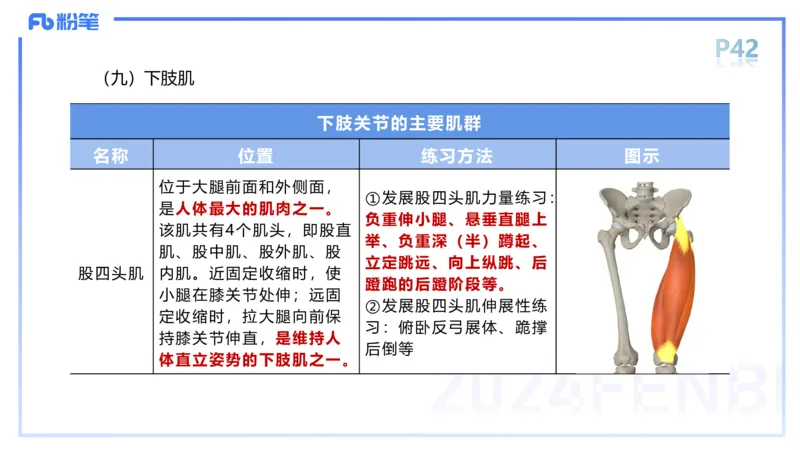 1.18-理论精讲-运动解剖学4-王传世+_4-教培资料-26年最新资料-同步更新_科一科二电子资料合集中小幼（笔记真题知识点汇总等）文件多，按需保存_各机构笔记合集（中小幼）推荐