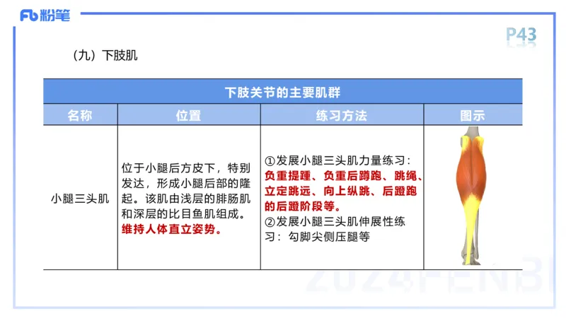 1.18-理论精讲-运动解剖学4-王传世+_4-教培资料-26年最新资料-同步更新_科一科二电子资料合集中小幼（笔记真题知识点汇总等）文件多，按需保存_各机构笔记合集（中小幼）推荐