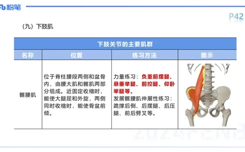 1.18-理论精讲-运动解剖学4-王传世+_4-教培资料-26年最新资料-同步更新_科一科二电子资料合集中小幼（笔记真题知识点汇总等）文件多，按需保存_各机构笔记合集（中小幼）推荐