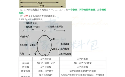 初中生物王炸秘籍2_教资_初高中2026教资_25下教师资格证_科三初中各科资料汇总_初中生物王炸秘籍