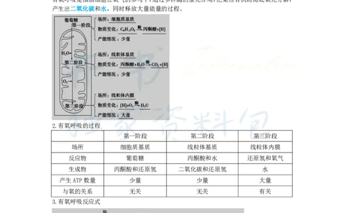 初中生物王炸秘籍2_教资_初高中2026教资_25下教师资格证_科三初中各科资料汇总_初中生物王炸秘籍