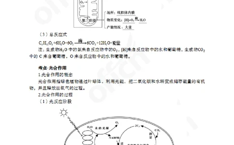 2024上半年教师资格笔试预测报-初中生物_4-教培资料-26年最新资料-同步更新_初中高中教资_03科三专项（进去保存报考的学科即可）_初中_初中生物-通关资料包_8.ZG考前预测报