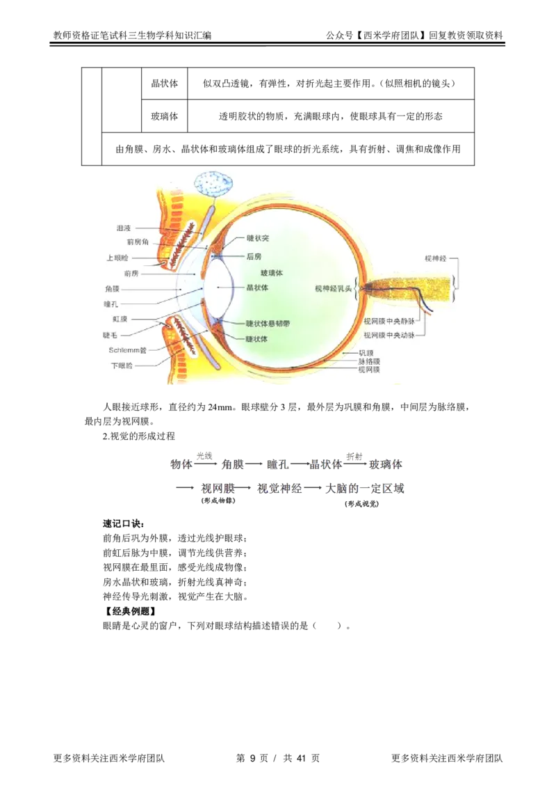生物-知识点汇编_教资_25下资料合集二_25下最新科三知识点汇编+思维导图-高中_09.生物_03.思维导图+知识汇编
