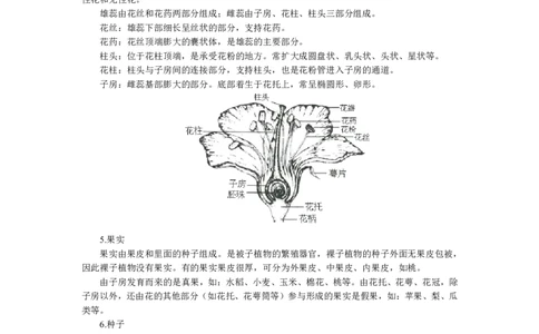 生物-知识点汇编_教资_25下资料合集二_25下最新科三知识点汇编+思维导图-高中_09.生物_03.思维导图+知识汇编