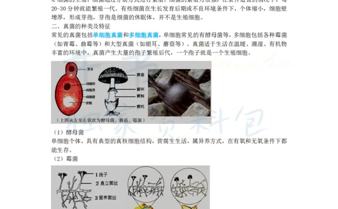 初中生物王炸秘籍6_教资_初高中2026教资_25下教师资格证_科三初中各科资料汇总_初中生物王炸秘籍