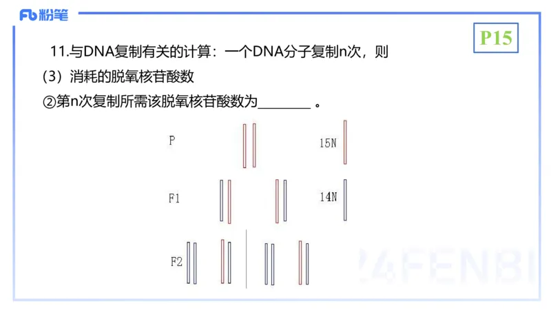 1.17晚-分子生物学3-拾光_4-教培资料-26年最新资料-同步更新_科一科二电子资料合集中小幼（笔记真题知识点汇总等）文件多，按需保存_各机构笔记合集（中小幼）推荐_01理论精讲