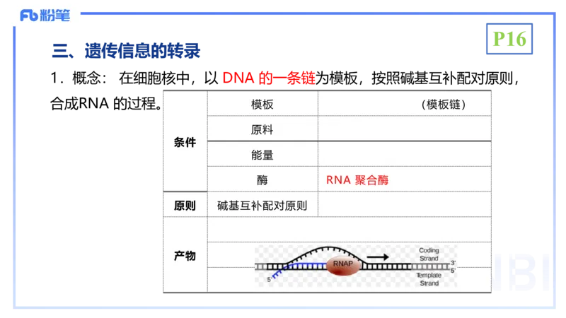 1.17晚-分子生物学3-拾光_4-教培资料-26年最新资料-同步更新_科一科二电子资料合集中小幼（笔记真题知识点汇总等）文件多，按需保存_各机构笔记合集（中小幼）推荐_01理论精讲