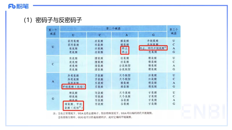 1.17晚-分子生物学3-拾光_4-教培资料-26年最新资料-同步更新_科一科二电子资料合集中小幼（笔记真题知识点汇总等）文件多，按需保存_各机构笔记合集（中小幼）推荐_01理论精讲