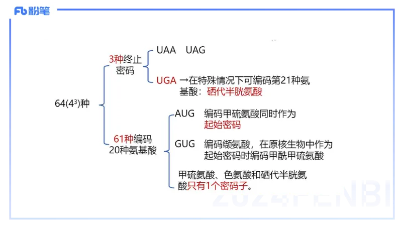 1.17晚-分子生物学3-拾光_4-教培资料-26年最新资料-同步更新_科一科二电子资料合集中小幼（笔记真题知识点汇总等）文件多，按需保存_各机构笔记合集（中小幼）推荐_01理论精讲