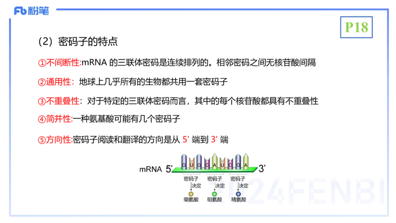 1.17晚-分子生物学3-拾光_4-教培资料-26年最新资料-同步更新_科一科二电子资料合集中小幼（笔记真题知识点汇总等）文件多，按需保存_各机构笔记合集（中小幼）推荐_01理论精讲