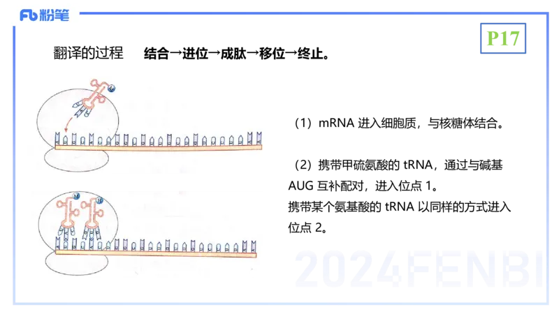 1.17晚-分子生物学3-拾光_4-教培资料-26年最新资料-同步更新_科一科二电子资料合集中小幼（笔记真题知识点汇总等）文件多，按需保存_各机构笔记合集（中小幼）推荐_01理论精讲