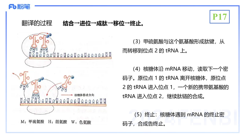 1.17晚-分子生物学3-拾光_4-教培资料-26年最新资料-同步更新_科一科二电子资料合集中小幼（笔记真题知识点汇总等）文件多，按需保存_各机构笔记合集（中小幼）推荐_01理论精讲