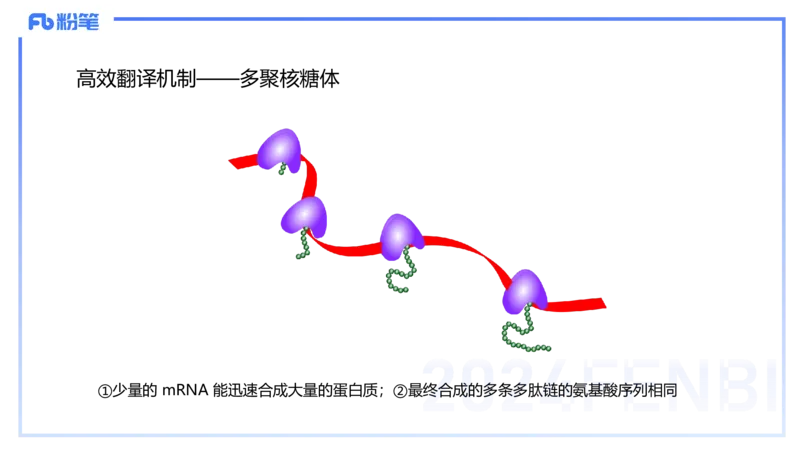 1.17晚-分子生物学3-拾光_4-教培资料-26年最新资料-同步更新_科一科二电子资料合集中小幼（笔记真题知识点汇总等）文件多，按需保存_各机构笔记合集（中小幼）推荐_01理论精讲