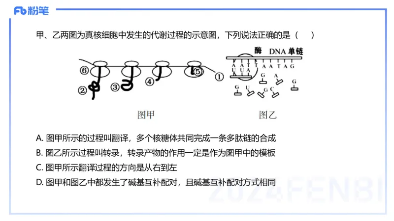 1.17晚-分子生物学3-拾光_4-教培资料-26年最新资料-同步更新_科一科二电子资料合集中小幼（笔记真题知识点汇总等）文件多，按需保存_各机构笔记合集（中小幼）推荐_01理论精讲