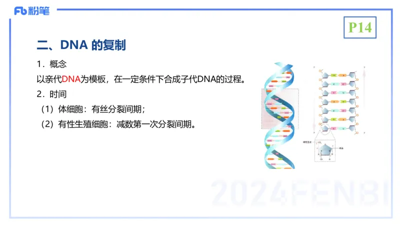1.17晚-分子生物学3-拾光_4-教培资料-26年最新资料-同步更新_科一科二电子资料合集中小幼（笔记真题知识点汇总等）文件多，按需保存_各机构笔记合集（中小幼）推荐_01理论精讲