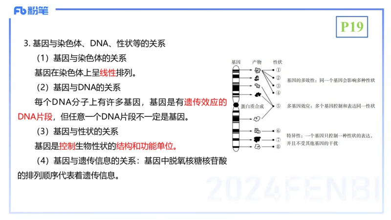 1.17晚-分子生物学3-拾光_4-教培资料-26年最新资料-同步更新_科一科二电子资料合集中小幼（笔记真题知识点汇总等）文件多，按需保存_各机构笔记合集（中小幼）推荐_01理论精讲