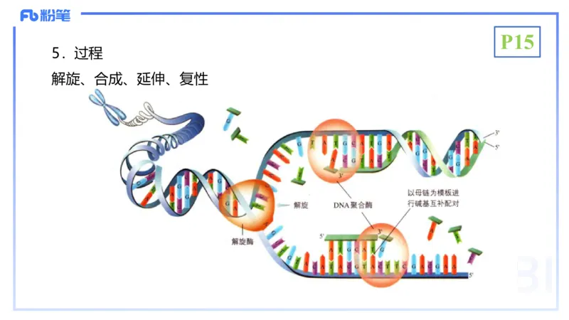1.17晚-分子生物学3-拾光_4-教培资料-26年最新资料-同步更新_科一科二电子资料合集中小幼（笔记真题知识点汇总等）文件多，按需保存_各机构笔记合集（中小幼）推荐_01理论精讲