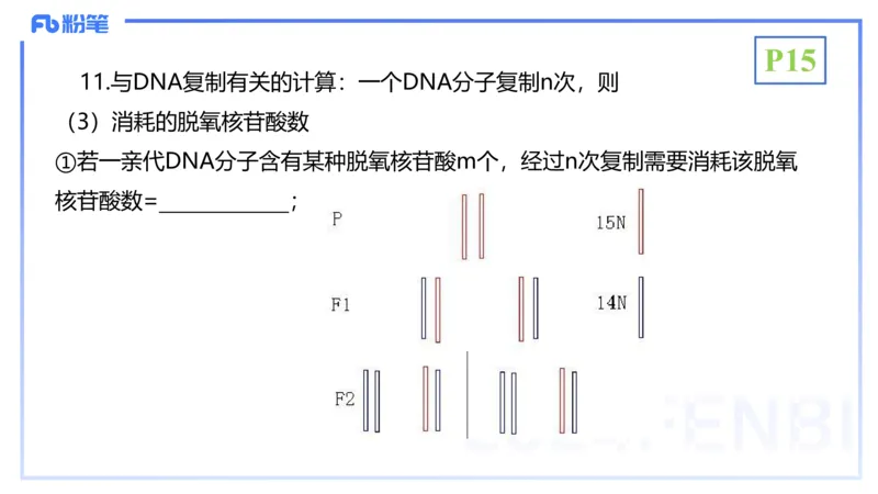 1.17晚-分子生物学3-拾光_4-教培资料-26年最新资料-同步更新_科一科二电子资料合集中小幼（笔记真题知识点汇总等）文件多，按需保存_各机构笔记合集（中小幼）推荐_01理论精讲