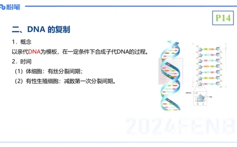 1.17晚-分子生物学3-拾光_4-教培资料-26年最新资料-同步更新_科一科二电子资料合集中小幼（笔记真题知识点汇总等）文件多，按需保存_各机构笔记合集（中小幼）推荐_01理论精讲