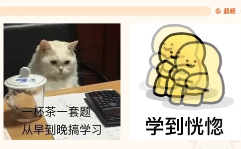 幼综第一章&mdash;&mdash;儿童观满分练习__教资_CG26上教资笔试幼儿_26上CG幼儿教资笔试（更新中）_0126上幼儿-综合素质（更新中）_02儿童观