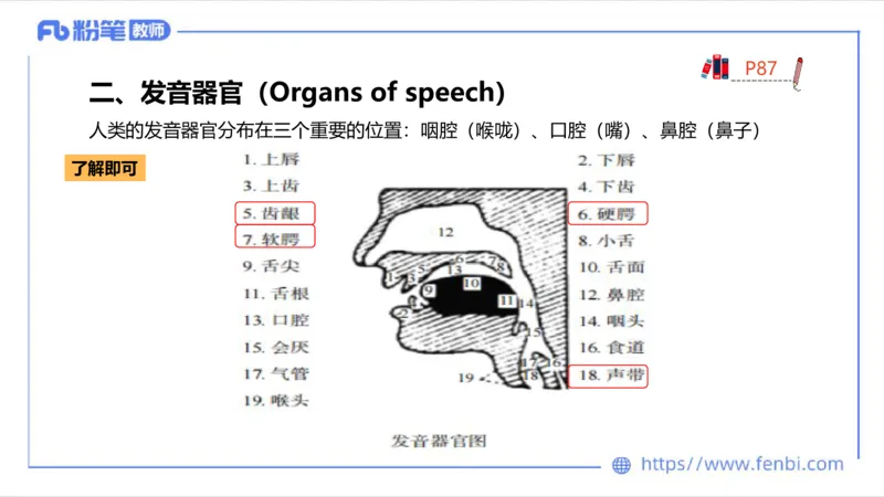 2023.6.20-科目三理论精讲-语言学1-李婉君_4-教培资料-26年最新资料-同步更新_科一科二电子资料合集中小幼（笔记真题知识点汇总等）文件多，按需保存_01西米合集_1.理论精讲_讲义
