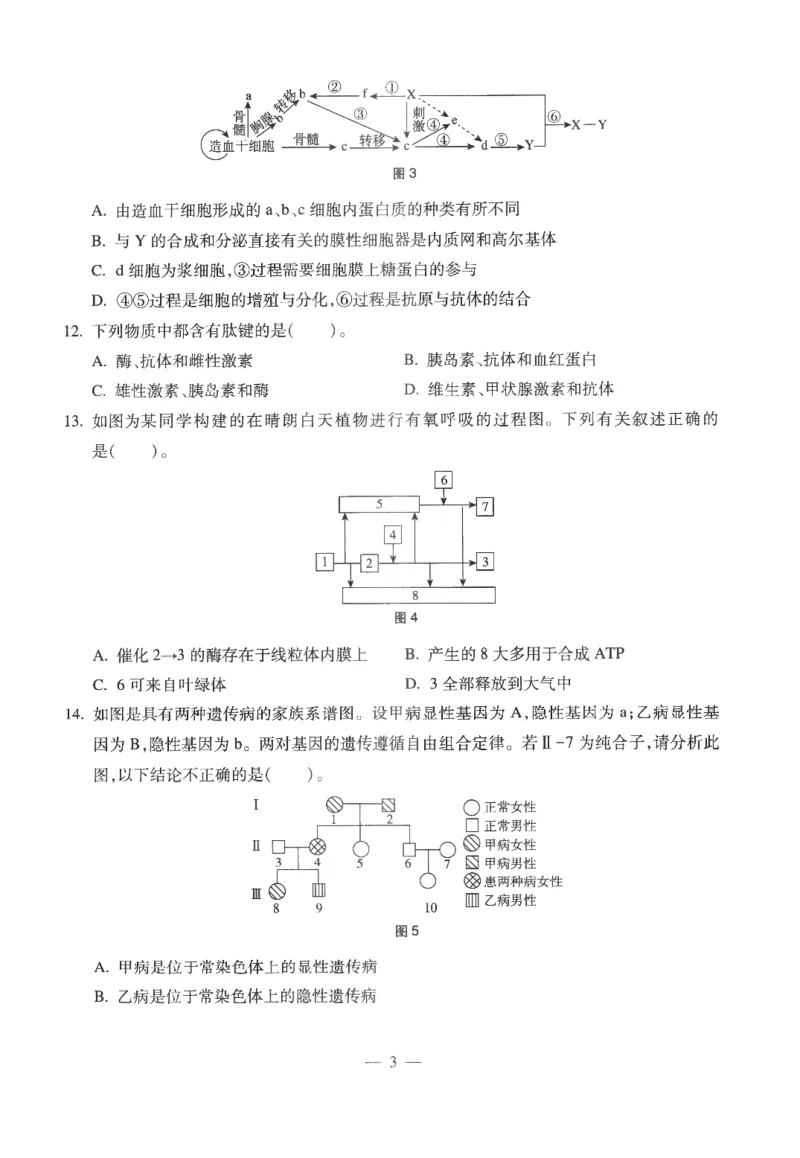 高中-生物学科知识与教学能力_教资_25下资料合集二_25下最新科三知识点汇编+思维导图-高中_09.生物_05.模拟卷