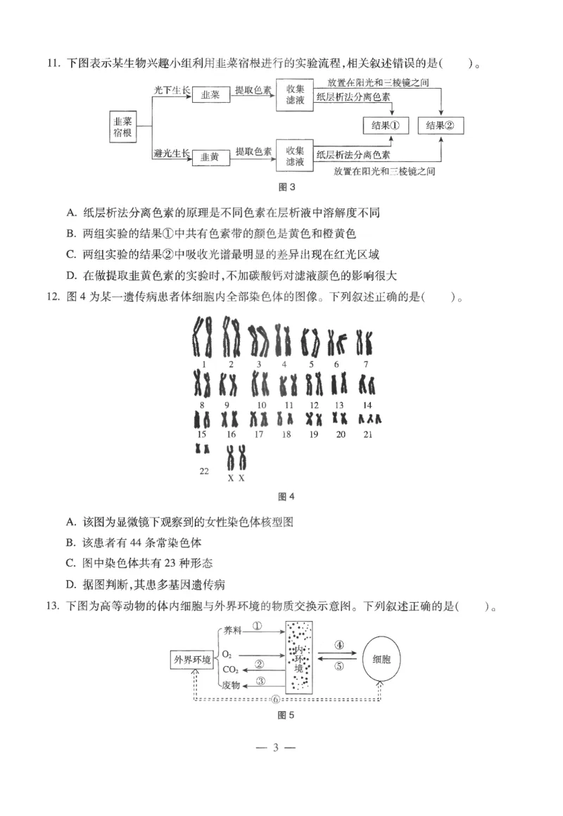 高中-生物学科知识与教学能力_教资_25下资料合集二_25下最新科三知识点汇编+思维导图-高中_09.生物_05.模拟卷