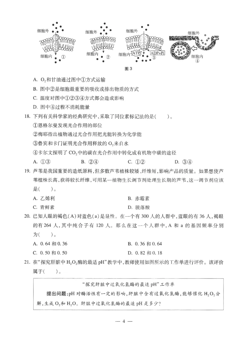 高中-生物学科知识与教学能力_教资_25下资料合集二_25下最新科三知识点汇编+思维导图-高中_09.生物_05.模拟卷